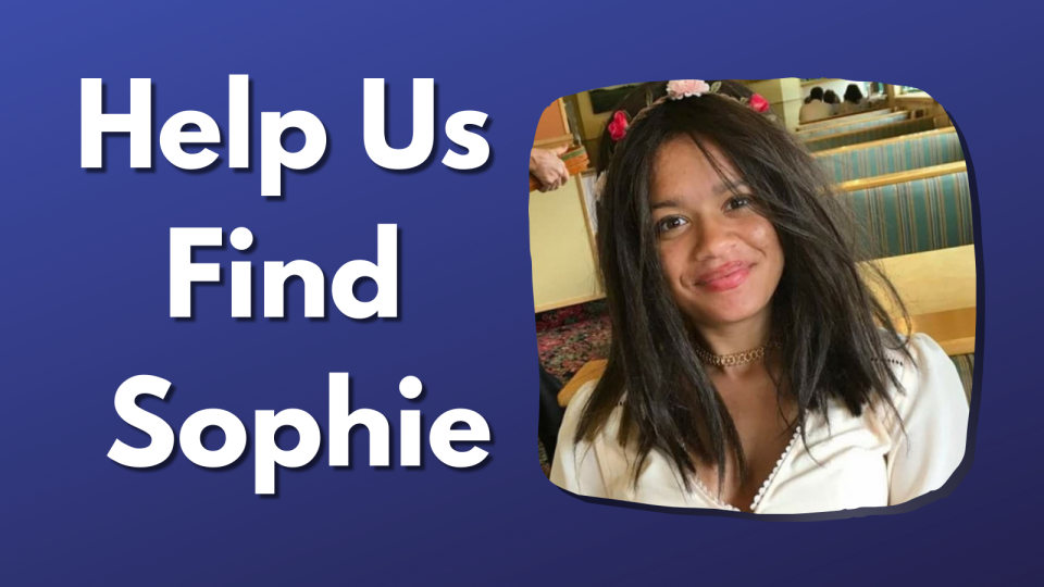 Help Us Find Sophie (Twitter Post)